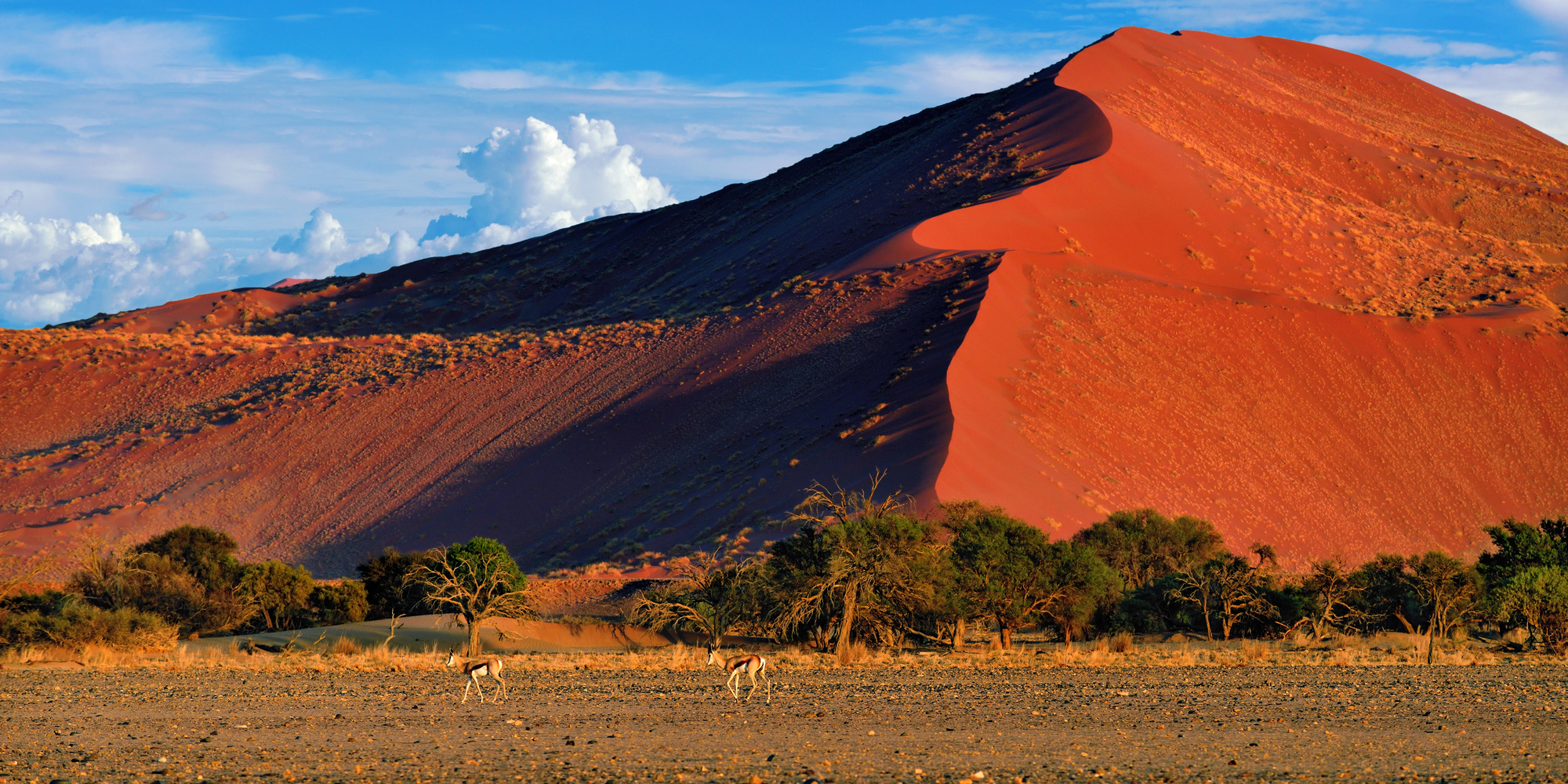 namibia-NAUKLUFT-NATIONAL-PARK.jpg